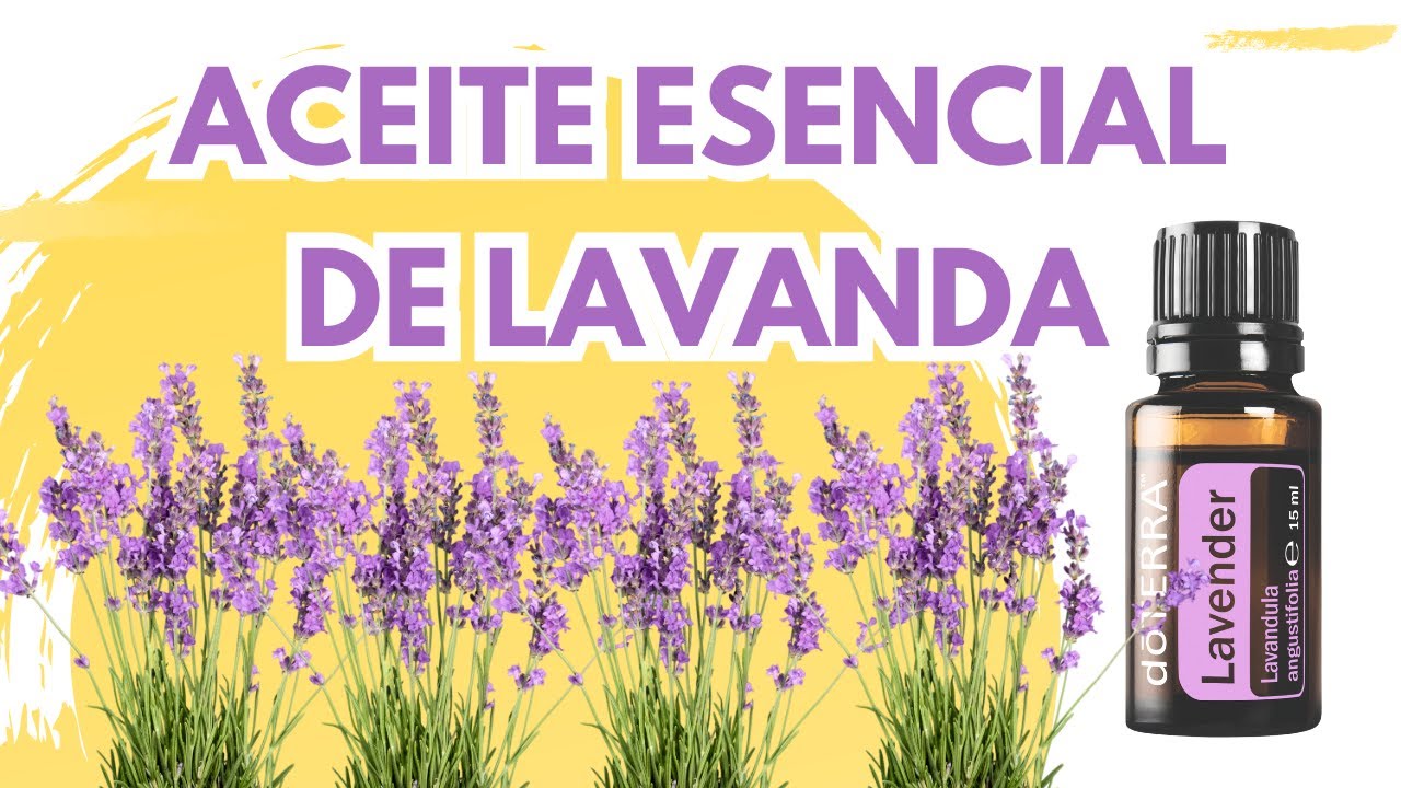 Aceite esencial de lavanda: cómo se usa y para qué sirve | Aceites esenciales doTERRA