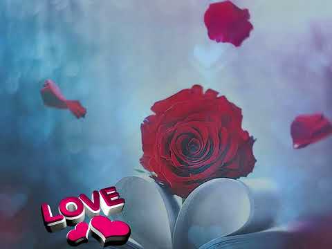 Tình đã lên ngôi - Lê Duy