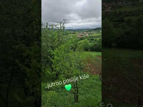 #fadila#medakovo#kiša#bašta#💚