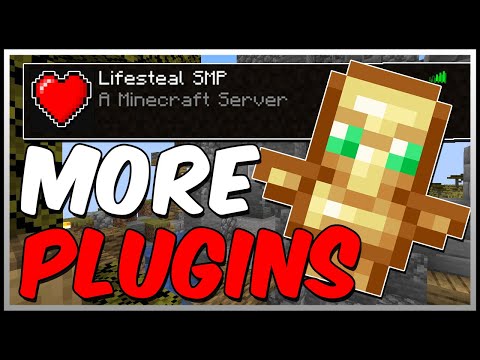All The Plugins For Your LIFESTEAL SMP!