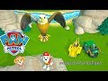 Paw Patrol On A Roll 4 Skye And Marshall Save An Eagle