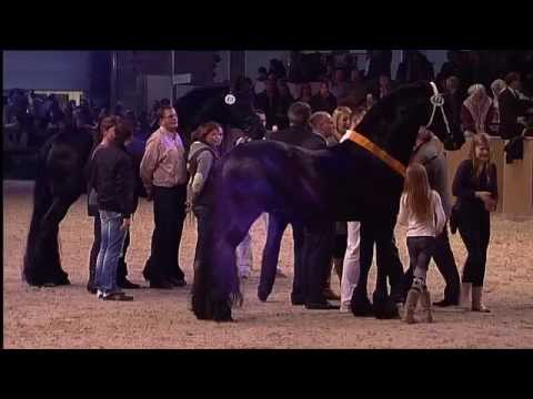 Algemeen Kampioenschap HK2012