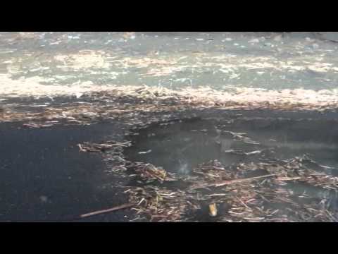 Deux tours de valse sur la plage.