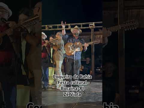 Festa cultural na cidade de Bocaina-PI- Zé Viola faz sua participação com um coqueiro da Bahia