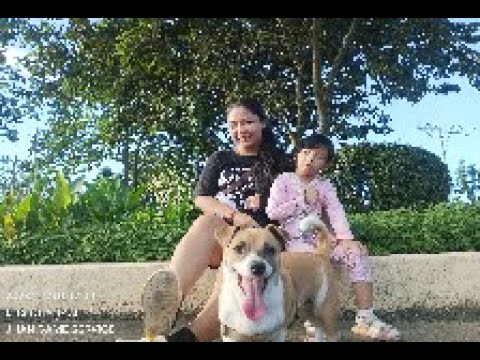 Farewell my  Hotdog Feb 24,2024  (Keziah Jhobe videos)