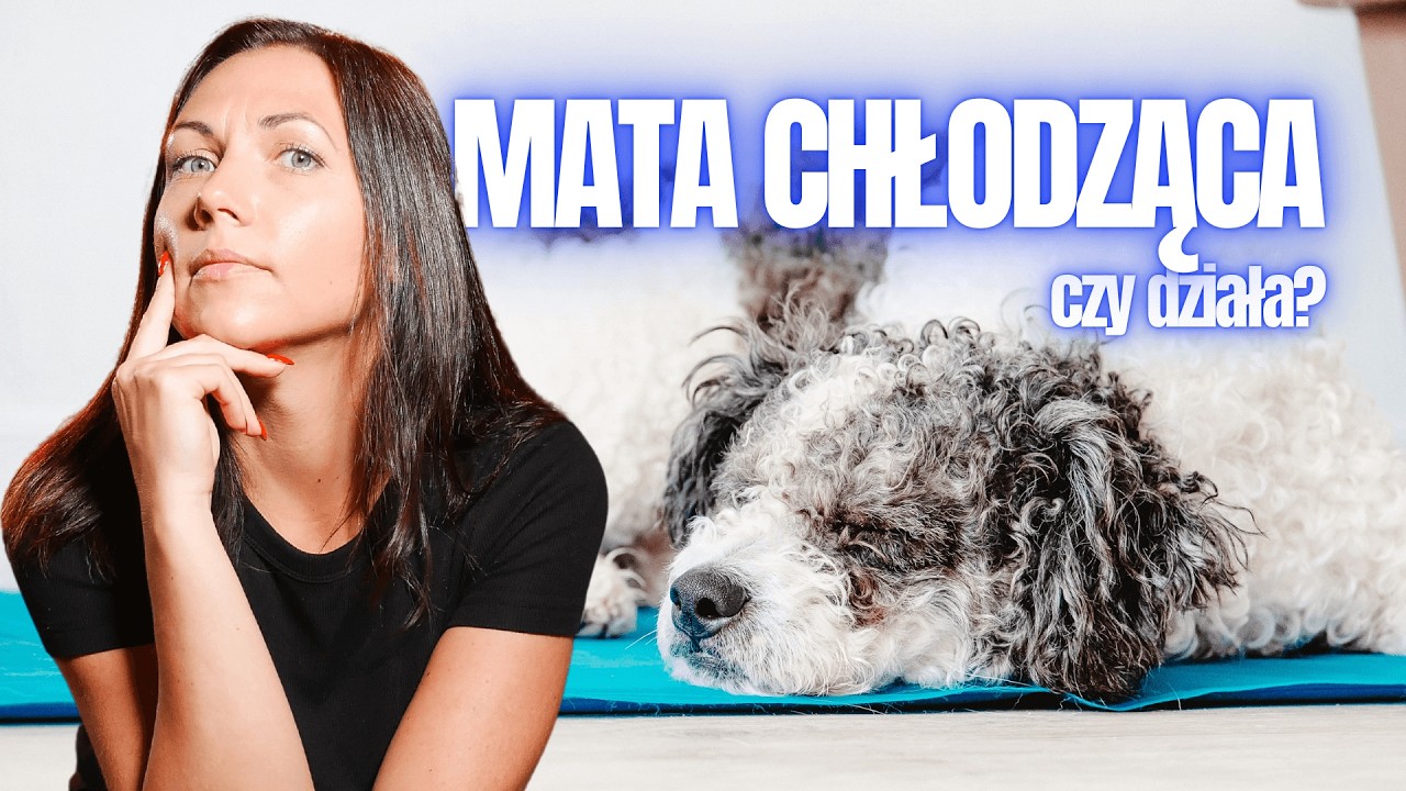 TEST MATY CHŁODZĄCEJ DLA PSA | Mata chłodząca Trixie