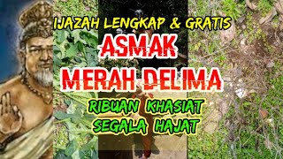 Download lagu 2 kata ajaib ASMAK MERAH DELIMA - ljazah Iengkap & gratls mp3