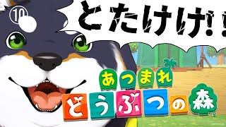 とたけけ演奏時のしばちゃんすこすこのすこ❤ - 【あつ森】とたけけ!とたけけ! 10日目【にじさんじ/黒井しば】