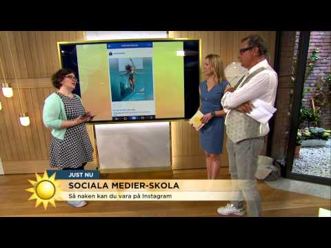 Vad händer i Steffos Instagramflöde? - Nyhetsmorgon (TV4)
