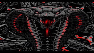 Ginuwine  - No  1 Fan . ( Comes from the album &quot; 100% Ginuwine &quot; ) . &quot; BLS - GF &quot; .