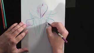 How to Draw a Lily of the Valley