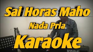Download lagu Sai Horas Ma Ho Karaoke Nada Pria Versi Korg PA700 mp3