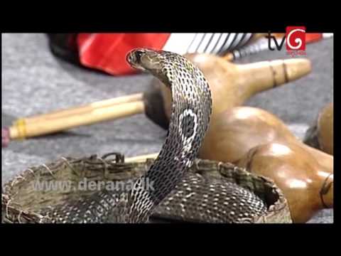 Nopenena Manaya  - 17th August 2016