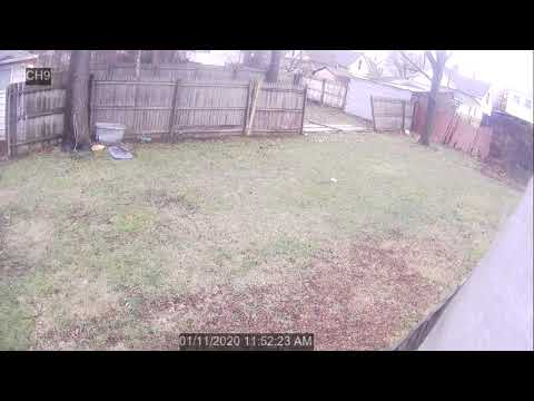 Suzy's Fence Getting Blown Down. January 11, 2020