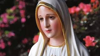 Search my heaven - Rome/Van Stone