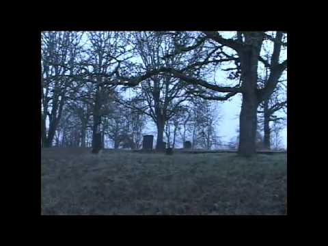 Lafayette Pioneer Cemetery Video 1