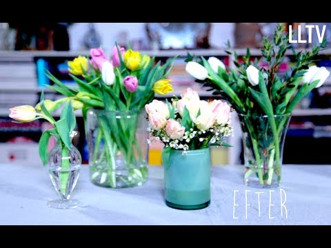 Pimpa din tulpanbukett