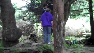 preview picture of video 'Kalaloch campground campsite D6 review'