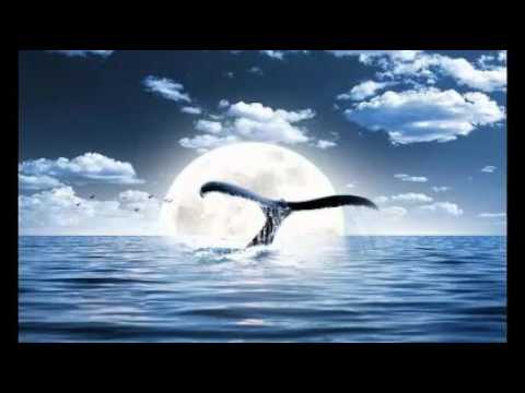 DJ Ives M & DJ T.H. - Ocean Of Dreams (Alex Torn Remix)
