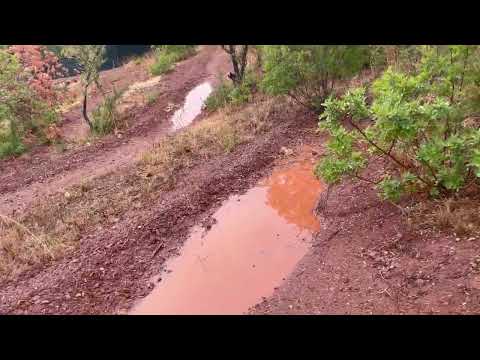 Meditative Minds take care of the earth too! Swales preserving water in the Algarve