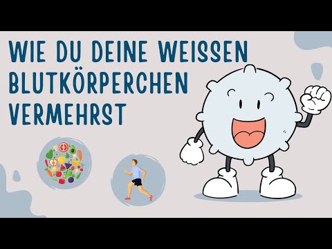 How to increase your white blood cells and thus strengthen your immune system