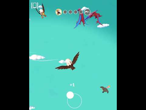 Rapid Evolution