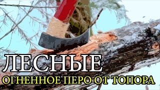 Огненное перо от топора | Axe Feather Sticks