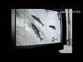 Be More PBS Spot Fish Template