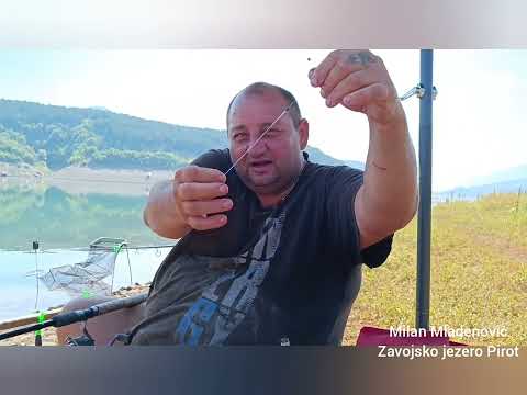 Pecanje POP UP, WAFTERS, Feeder na Zavojskom jezeru