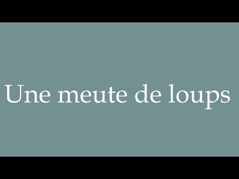 How to Pronounce ''Une meute de loups'' (A pack of wolves) Correctly in French