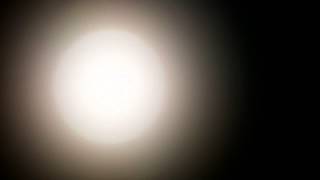 Martha Wainwright "Radio Star" Video