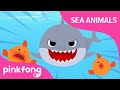 Doo Doo Doo Shark Sea Animal Songs Animal Songs Pinkfong Songs For Children