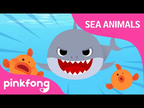 Doo doo doo Shark | Sea Animal Songs | Animal Songs | Pinkfong Songs for Children