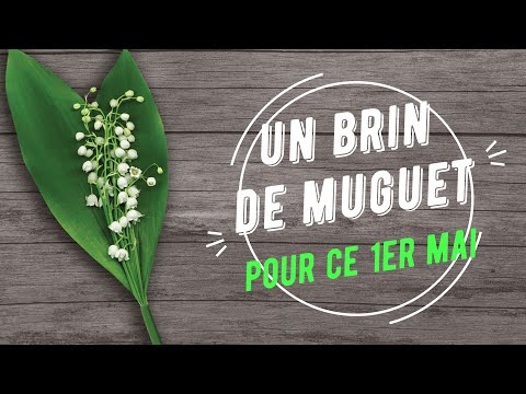 168 - Un brin de muguet - Carte virtuelle pour souhaiter un bon 1er mai