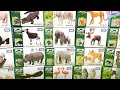 Wild Animals Rhino Gorilla Okapi Zebra Cheetah Elephant Reindeer Lioness Owl Flamingo