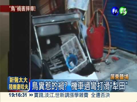 鳥糞從天降! 機車"犁田"的元兇