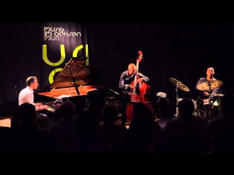 Aaron Goldberg  Trio - 