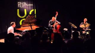 Aaron Goldberg  Trio - 