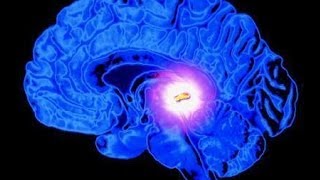 Our Third Eye and What it Does