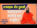 Yoga Tips: Will Yogguru Ramdev