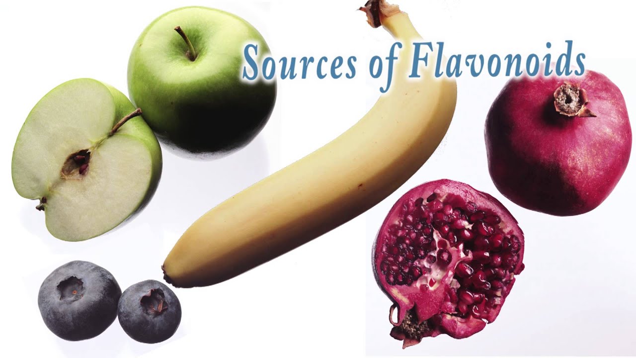 Bioactive Food Components