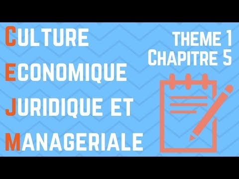 CEJM - Th1 Chap5 : Finalités et performance de l'entreprise