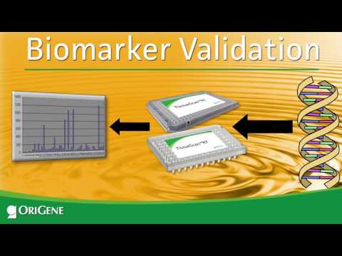 TissueScan: Gene expression Profile in Cancer Tissues via qPCR
