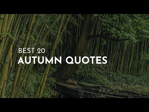Best 20 Autumn Quotes ~ Motivational Quotes ~ Quotes for pictures