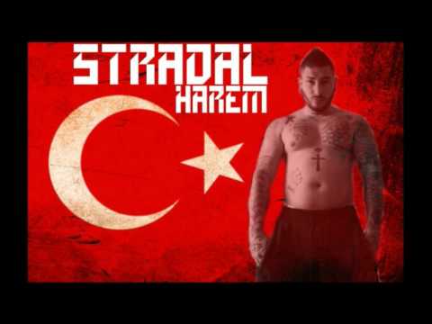 Stradal Ponti - Harem [Prod. By TheBeatCartel]