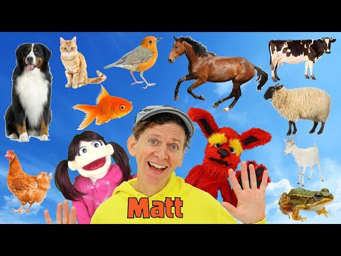 What Do You See? Song Animals | Book Version | Dream English Kids