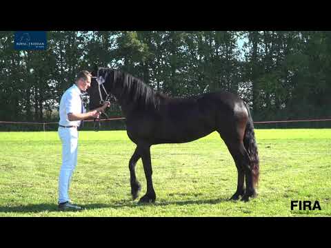 Locatiekeuring Stal fan de Kadyk 21-9-2020