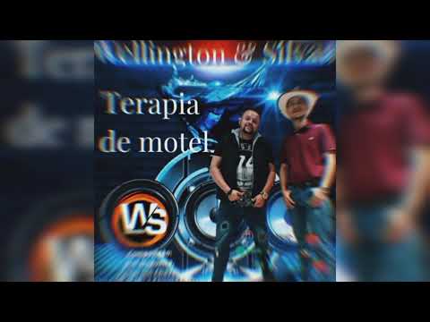 Terapia De Motel - Wellington e Silvan