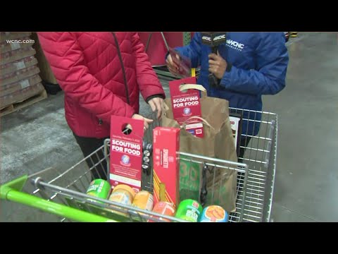 Scouting For Food: How you can help