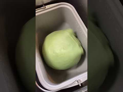 アフリカヨモギ、アフリカヨモギ、ヨモギ